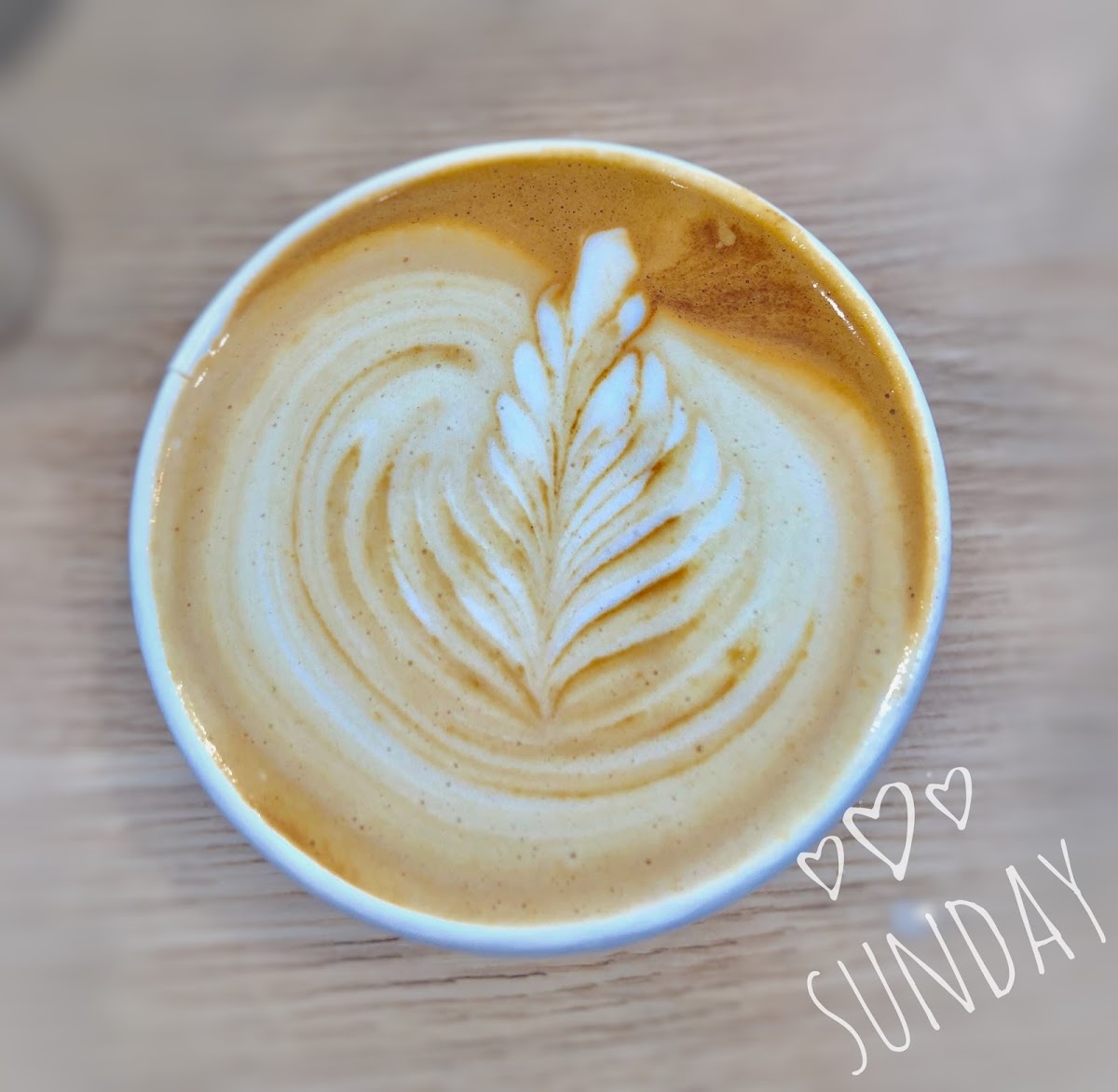 Three Flamingos Espresso Photo 5